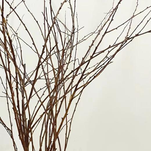 干枝雪柳  若干支/扎 以实物为准 云南基地发货（价格已包含包装费用） 运费以实际为准，多退少补。 商品图0