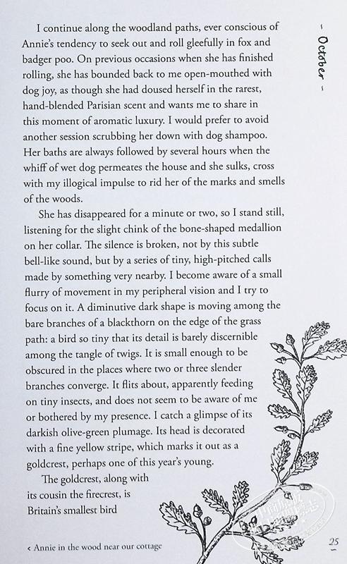 【中商原版】大自然治好了我的抑郁症 英文原版 The Wild Remedy How Nature Mends Us Emma Mitchell 365天荒野治愈手记 商品图7