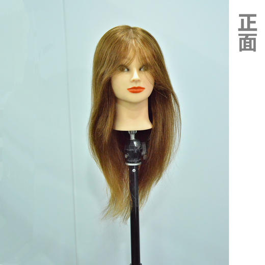 加厚全真发20寸头模 商品图0