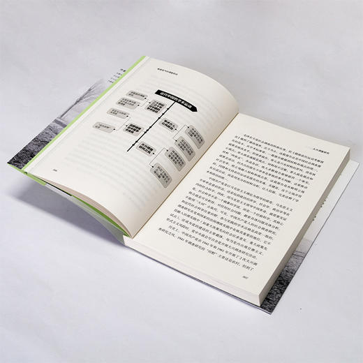 《做接地气的调查研究》 商品图7