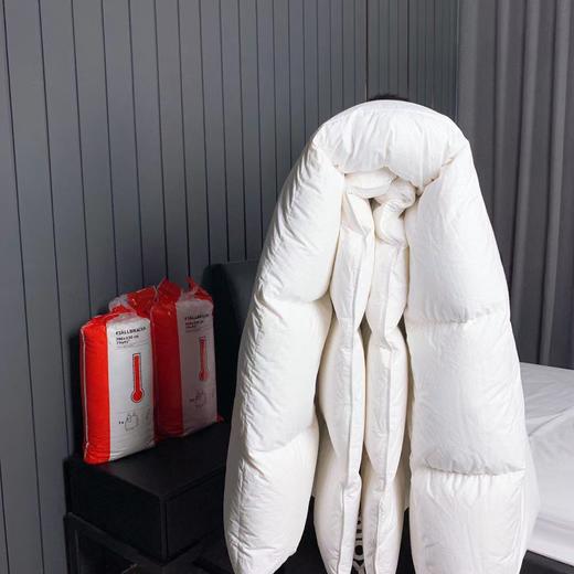 羽绒被 商品图2