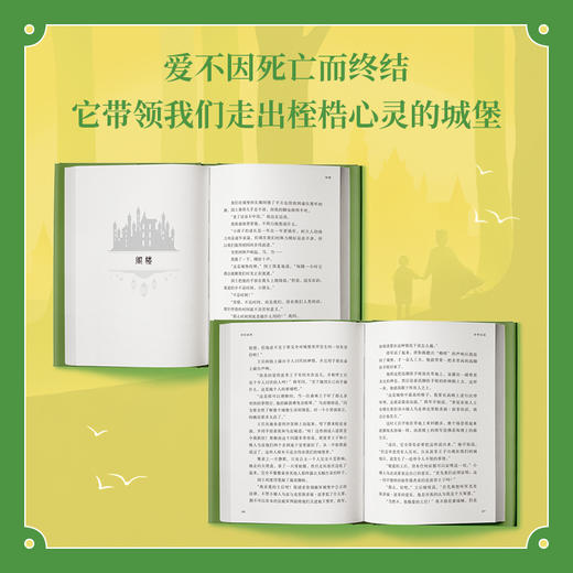 青蛙城堡 《苏菲的世界》作者乔斯坦·贾德的生命童话，现代版《爱丽丝梦游仙境》。 商品图2