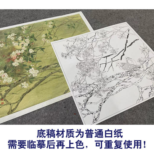 【大彩图】邹传安工笔画白描底稿小品《春酣》海棠花临摹勾线花鸟线稿HN27 商品图3