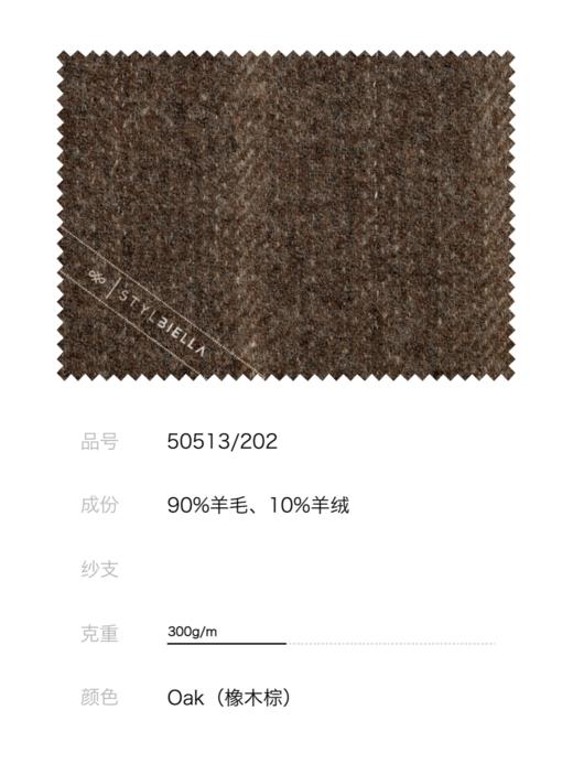 Stylbiella 羊毛羊绒混织棕色全麻衬单西 商品图3