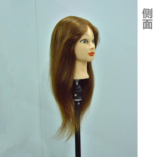 加厚全真发20寸头模 商品图2