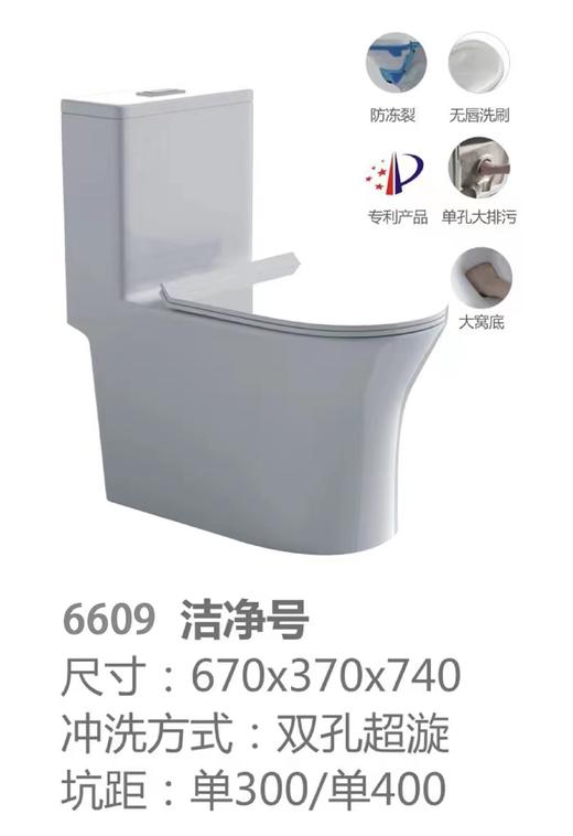镱龙 防冻脲醛盖坐便器6609 商品图0
