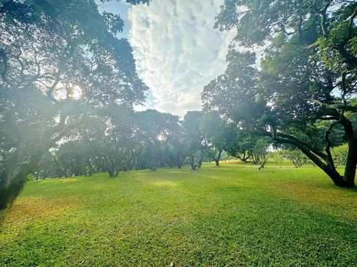 野餐活动 商品图4