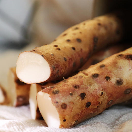 怀川臻仁 垆土铁棍山药5斤政府箱 商品图2