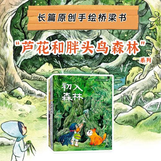 【新书】芦花和胖头鸟森林系列（4册）——平装 8岁以上 中国长篇原创手绘桥梁书 温柔勇敢 亲情友情 乐观向上 蒲蒲兰绘本馆旗舰店 商品图0