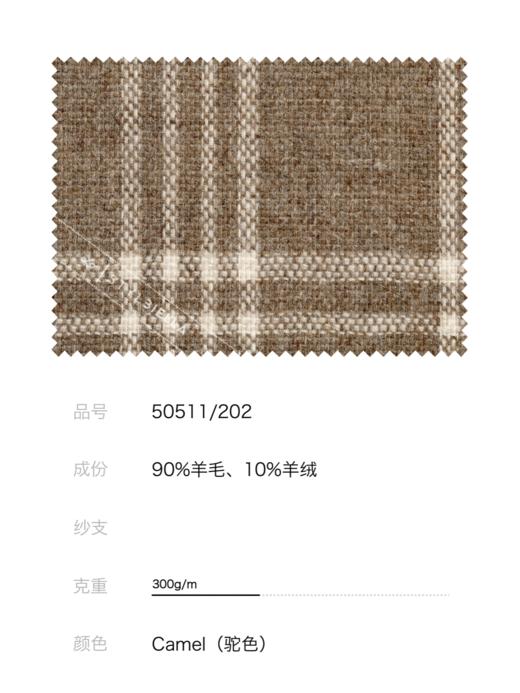 Stylbiella 羊毛羊绒混织驼色全麻衬单西 商品图2