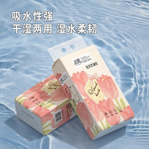 9提更超值【绵柔亲肤！挂式软抽纸】爆款抖音热卖纸巾挂式抽纸卫生纸大规格多功能卫生纸皆可挂干湿两用 商品图1