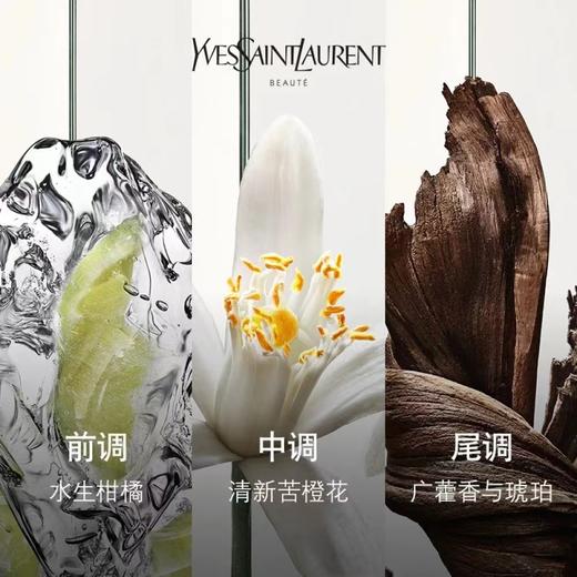 YSL 圣罗兰生而不羁男士香水系列 商品图1