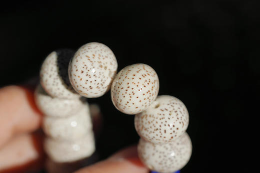 心中的星月｜菩提子 商品图11