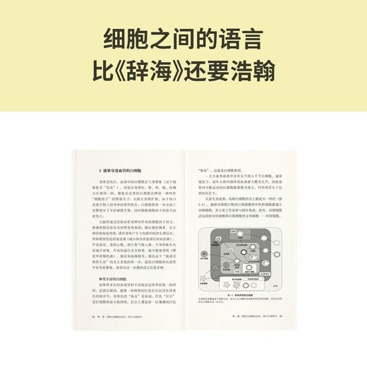 《人体是个奇迹：三十七万亿个细胞都在说》解码人体工厂 细胞之间的语言  读库本·新知 商品图1