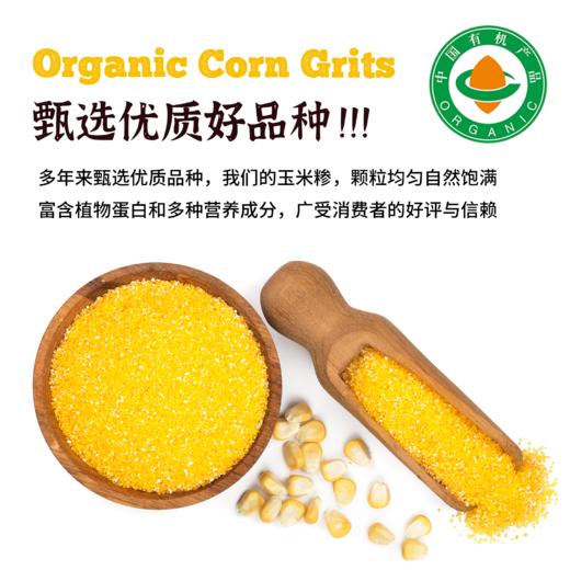 内蒙有机玉米糁 商品图3