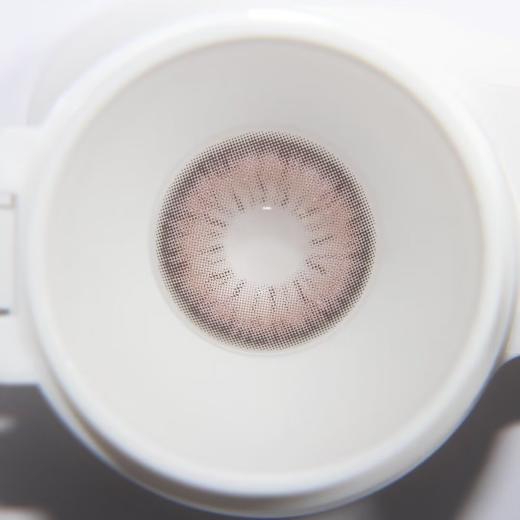 Cococon单款-帕帕极星 商品图5