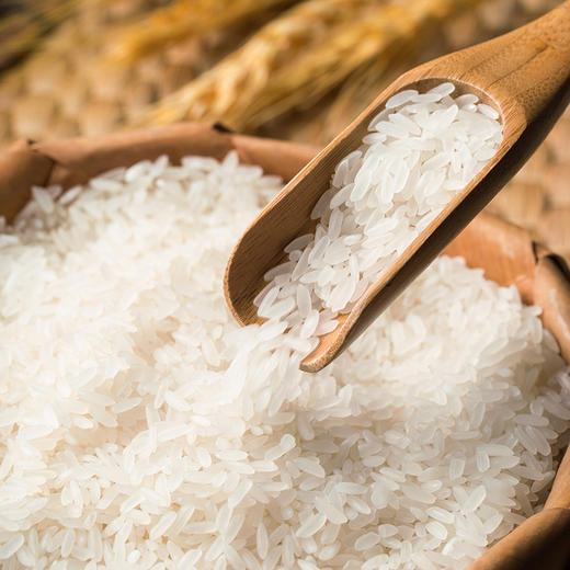 【谷大叔】五常大米5kg 软糯营养 商品图1