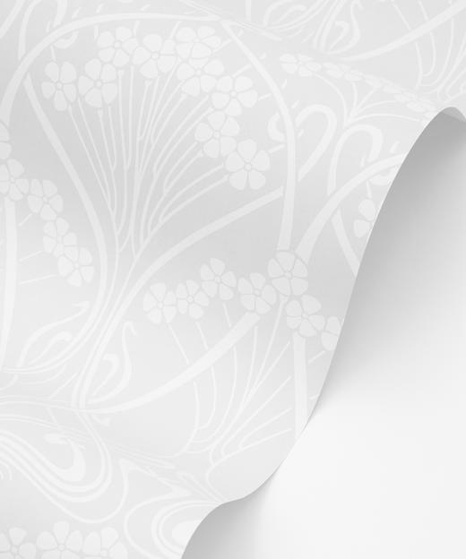 LT184A  新品胶印工艺 IANTHE艾恩瑟季节款 胶囊限定系列塔纳棉 269/M  邮费到付 商品图1