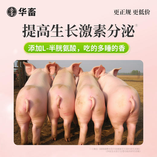 【王牌催肥】华畜暴力促长王1kg 强烈诱食促生长 提早出栏多赚钱 商品图2