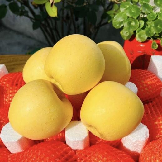维纳斯黄金苹果（件）包装随机发货 商品图1