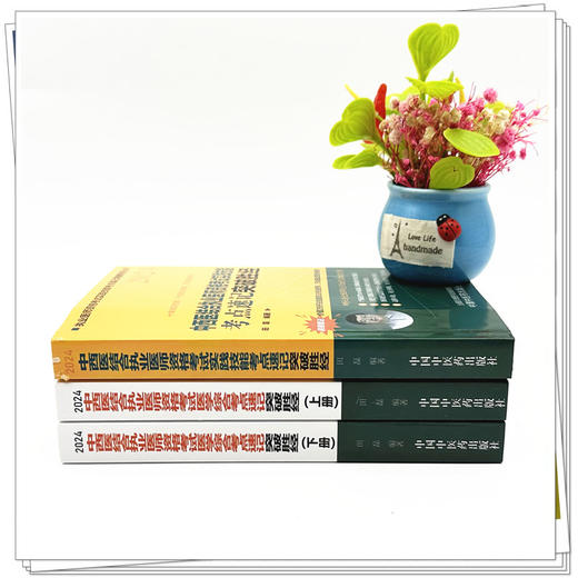 套装3本 2024年中西医结合执业医师资格考试考点速记上下册+实践技能突破胜经 田磊田博士医考中国中医药出版社医师考试配套用书 商品图2