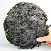 【严选】绿帝有机干紫菜70g（厂家直发） 商品缩略图1