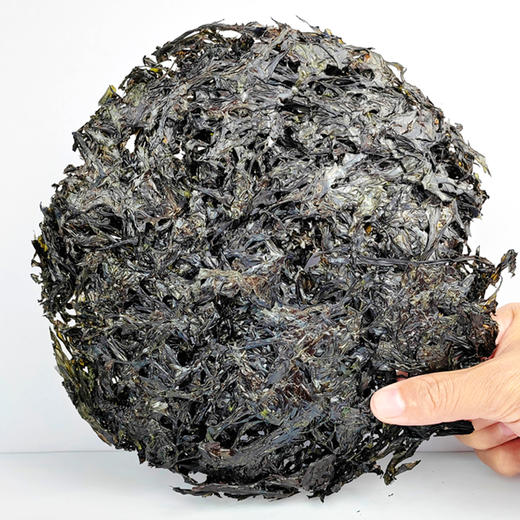 【严选】绿帝有机干紫菜70g（厂家直发） 商品图1