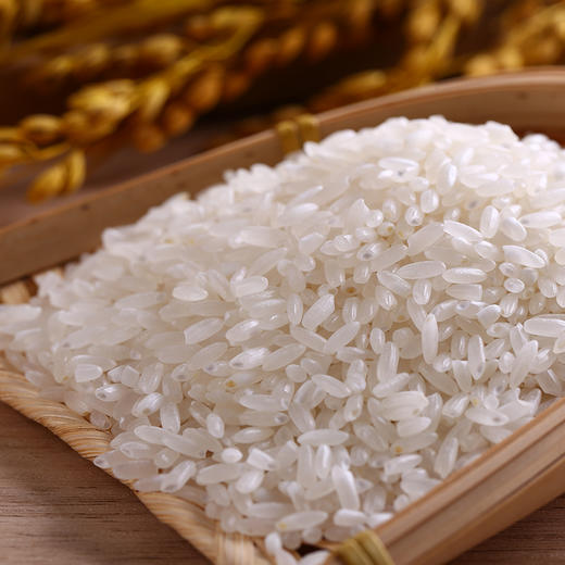 【谷大叔】五常大米5kg 软糯营养 商品图3