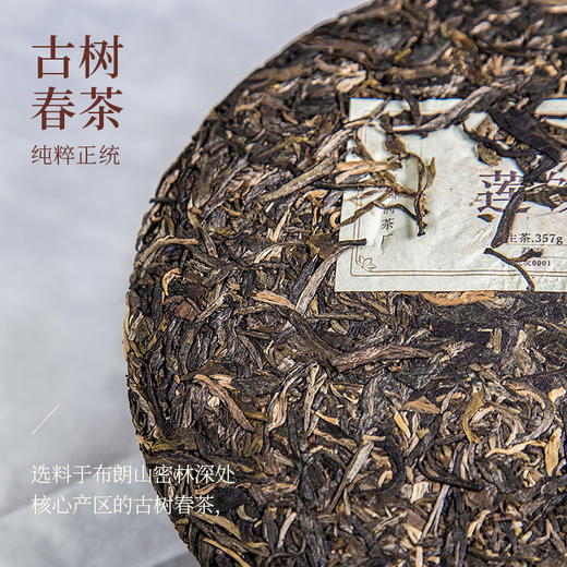 2019年莲饼生茶357g/饼云南七子饼茶干仓陈化古树春茶 商品图4