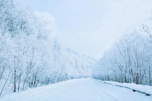 【梦幻雪国】7天6晚穿越1200公里的雪国浪漫，东北雪季 定金专拍 商品图13