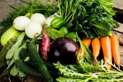 一分地鲜蔬直达套餐 商品图1