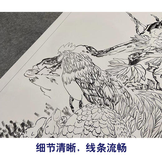 【大彩图】刘奎龄工笔画白描底稿《鸡鸣富贵图》公鸡牡丹临摹勾线花鸟线稿HN22 商品图4