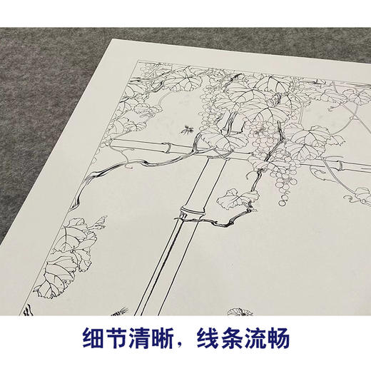【大彩图】刘奎龄工笔画白描底稿《花蝶葡萄图》临摹勾线花鸟线稿HN21 商品图4