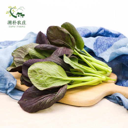 紫叶油菜 500g 商品图0