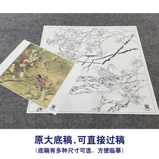 【大彩图】邹传安工笔画白描底稿小品《春酣》海棠花临摹勾线花鸟线稿HN27 商品图1