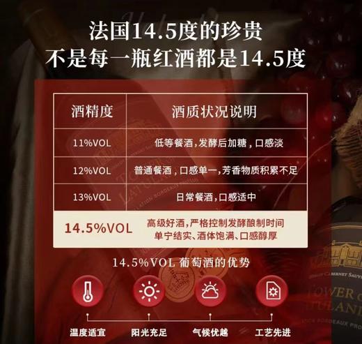 【礼赠爆款】法国原装进口 红酒 拉图蓝黛庄园干红葡萄酒14.5度750ml*2 礼盒装带开瓶器 商品图4