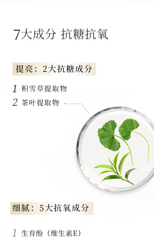 林清轩山茶花面部抗皱精华油50ml 商品图8