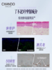 【每满200-40】自然堂 小紫瓶精华霜55g 商品缩略图2