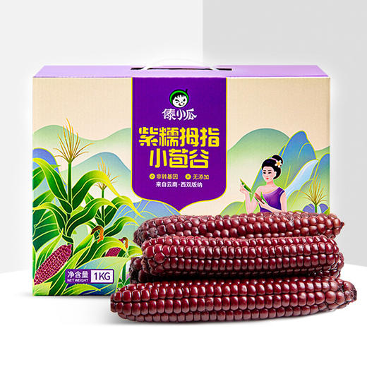 【傣小瓜】紫糯拇指玉米1kg 西双版纳特产 商品图4