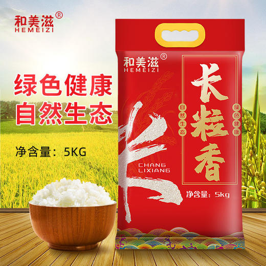 「10斤装」和美滋长粒香米5kg 长粒米大米家庭大包装10斤装 家用籼米 粮油米面 商品图0