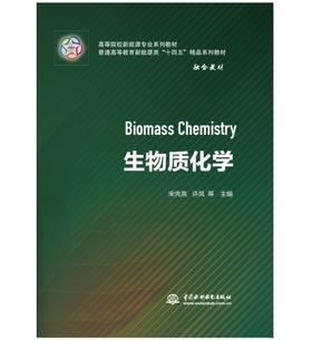 生物质化学（高等院校新能源专业系列教材 普通高等教育新能源类“十四五”精品系列教材）