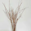 干枝雪柳  若干支/扎 以实物为准 云南基地发货（价格已包含包装费用） 运费以实际为准，多退少补。 商品缩略图1