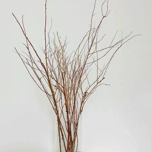 干枝雪柳  若干支/扎 以实物为准 云南基地发货（价格已包含包装费用） 运费以实际为准，多退少补。 商品图1
