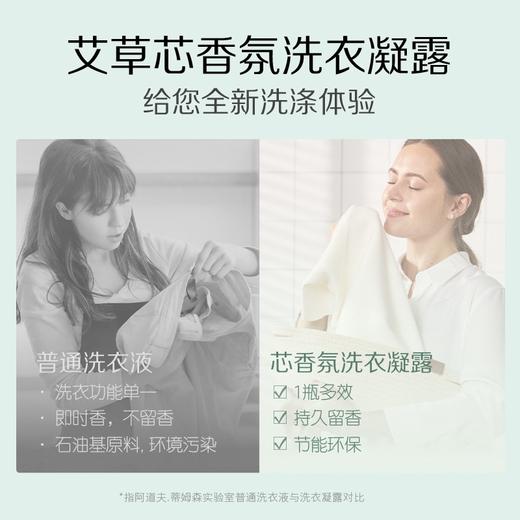 阿道夫蒂姆森芯香氛洗衣凝露(艾草防护)1.3L 商品图3