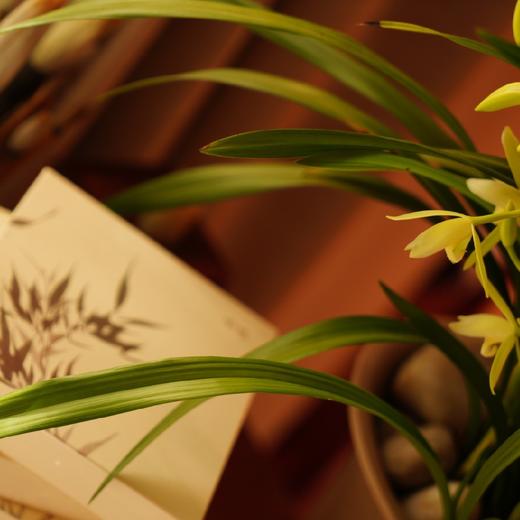 丞溪经典补水面膜 商品图3