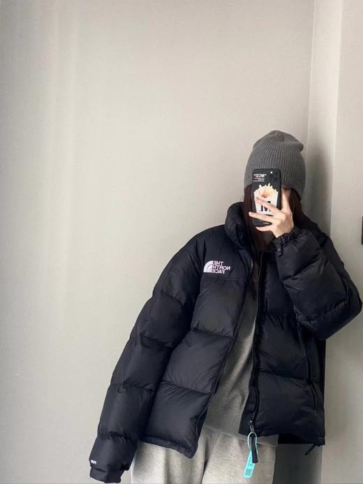 御寒必备TNF1996经典700篷400g鹅绒御寒鹅绒羽绒服 商品图3