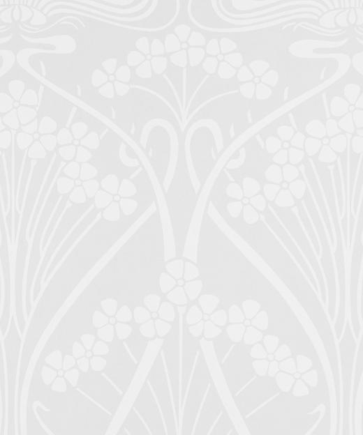 LT184A  新品胶印工艺 IANTHE艾恩瑟季节款 胶囊限定系列塔纳棉 269/M  邮费到付 商品图2