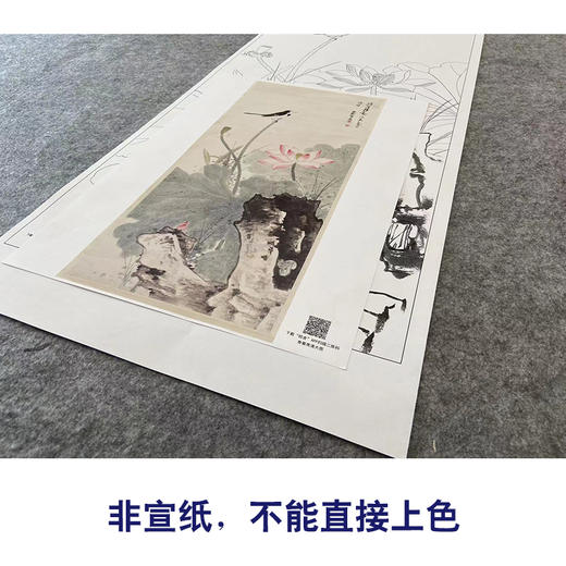 【大彩图】谢稚柳工笔画白描底稿荷花临摹勾线花鸟线稿HN23 商品图2