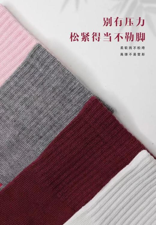 SL竹纤维女士毛圈抗菌长筒女袜2926 商品图2