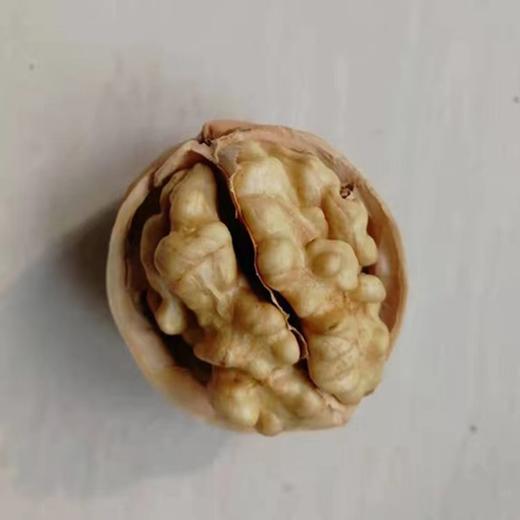 【手捏即开！无需核桃夹】新货185纸皮核桃500g 口感醇厚香味独特 手剥纸皮核桃 商品图1
